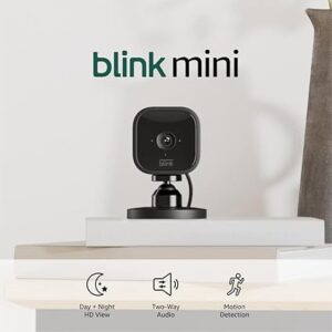 Blink Mini