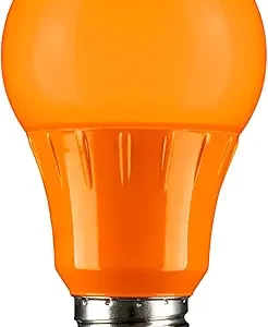Energetic A19 Orange Light Bulb